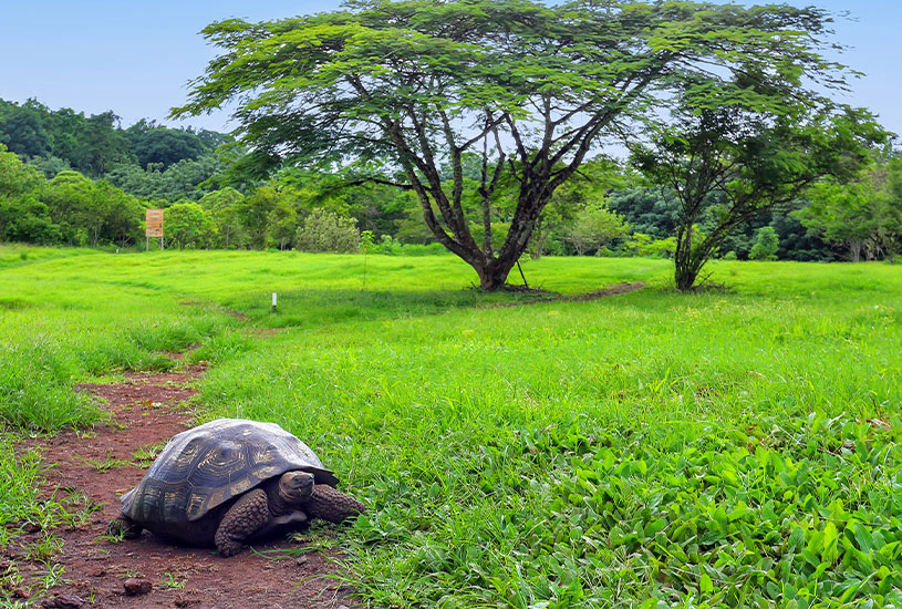 Santa Cruz, Galapagos Islands