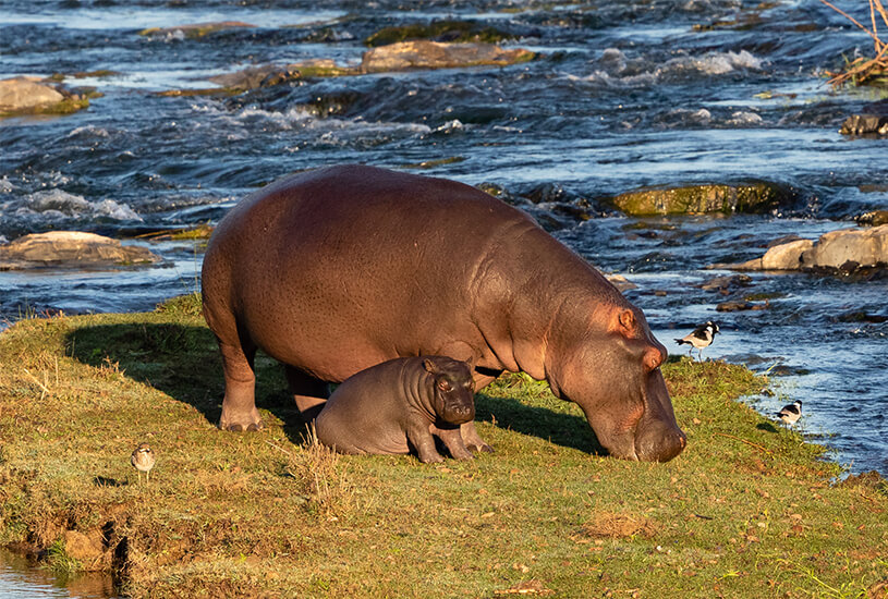 Lake Jozini, South Africa