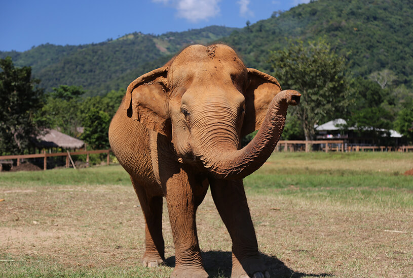 Chiang Mai, Southeast Asia